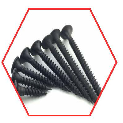 Drywall Screw